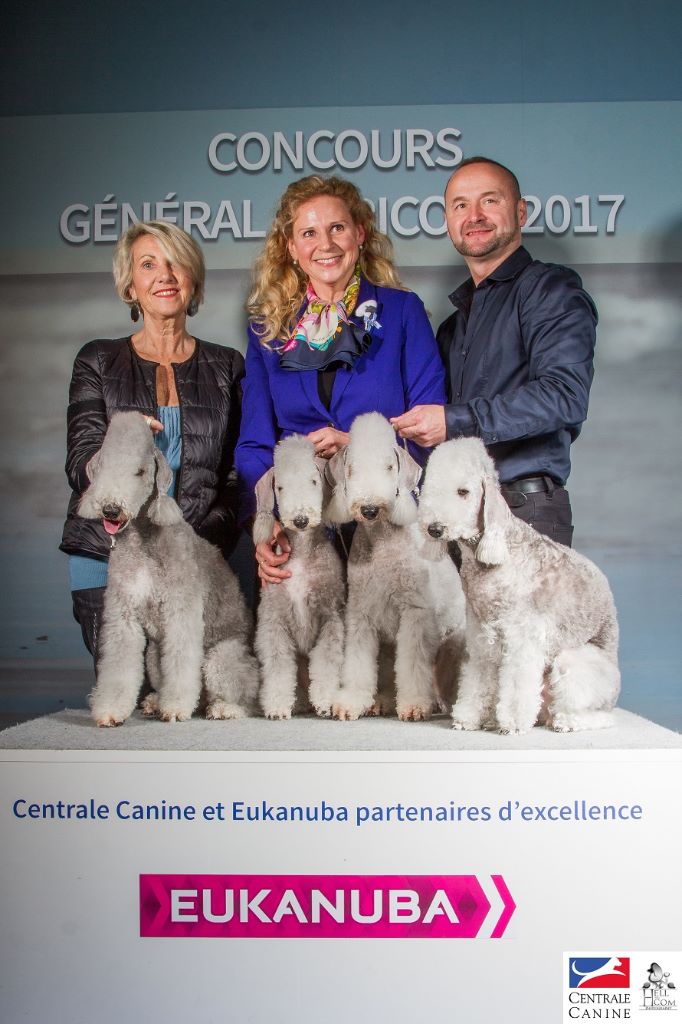 Des Archanges D'orphée - Concours Général Agricole / Salon International de l'Agriculture Paris