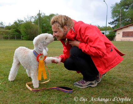 Des Archanges D'orphée - Tsarine en finale du Grand Prix de France d'Agility 2017 !