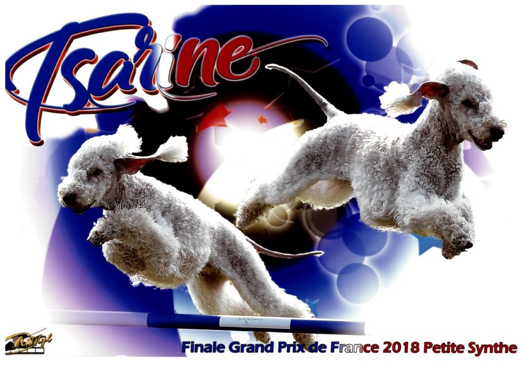 Des Archanges D'orphée - ISOTOP'S Famous Icon "Tsarine" en finale du GPF 2018 !