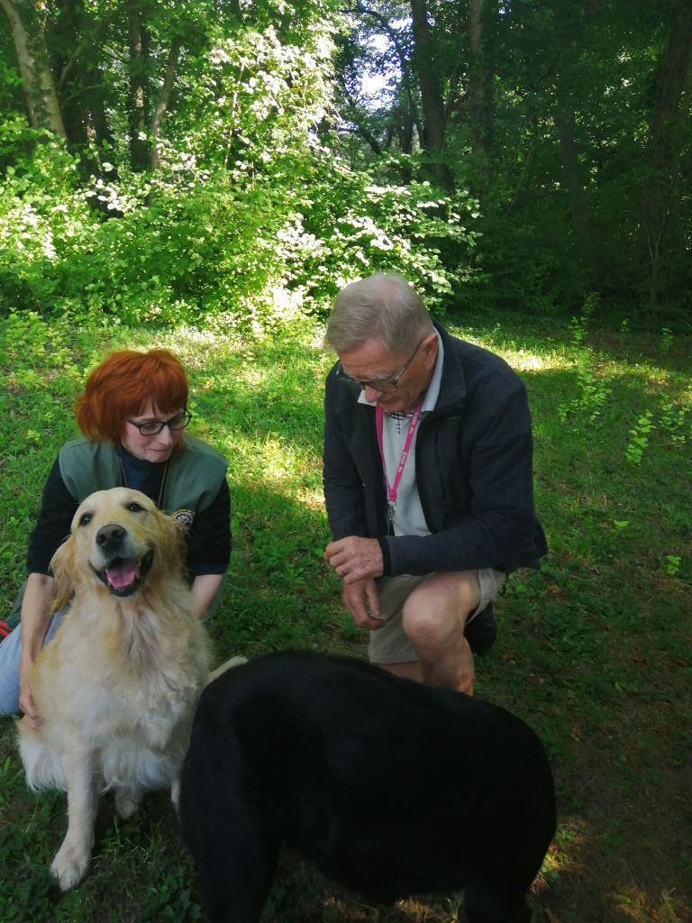 De La Foret Des Boules De Poils - Ma première journée de travail