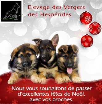 Des Vergers Des Hespérides - BONNES FÊTES DE NOËL