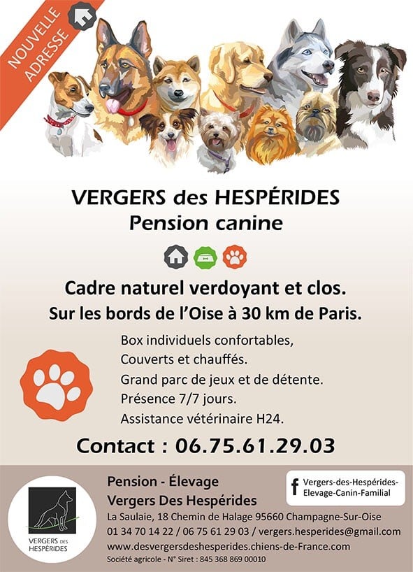 Pension canine Vergers des Hespérides