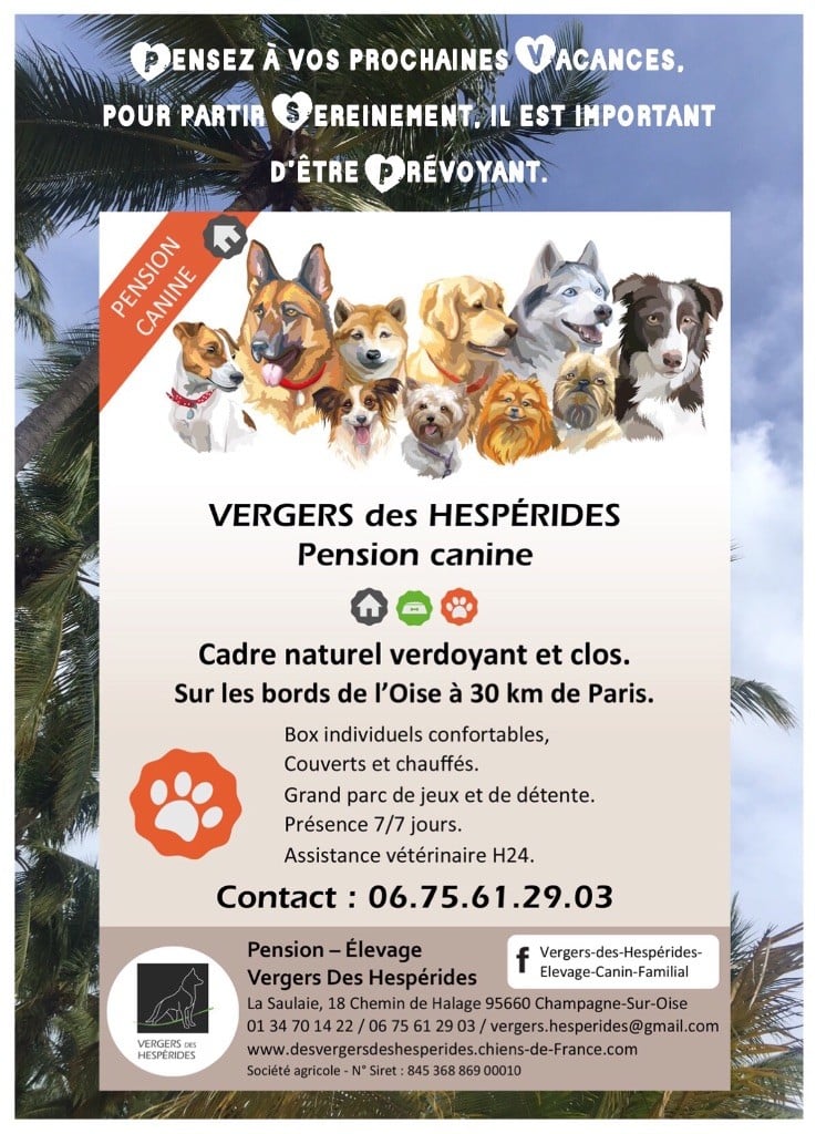 Pension canine Vergers des Hespérides