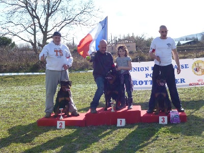 Des Princes De L'albinol - REGIONALE D'ELEVAGE DE MANOSQUE 2013