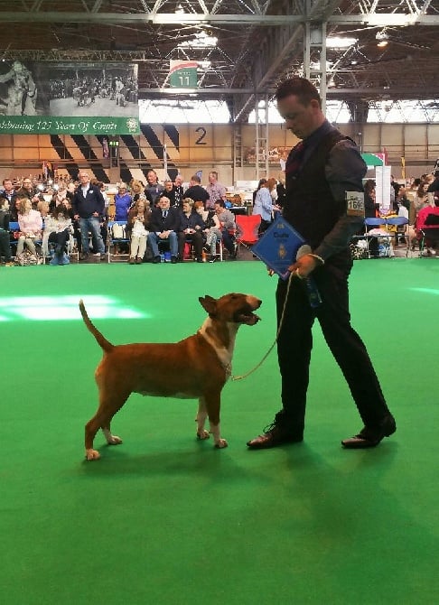 The Mirror Of Freedom - Kyara brille à la plus grande expo du monde: CRUFTS!