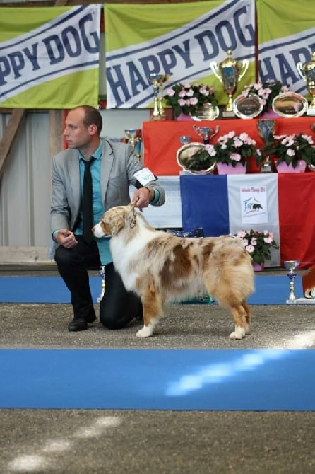 Du Petit Mont D'éden - Nationale d'élevage 2014