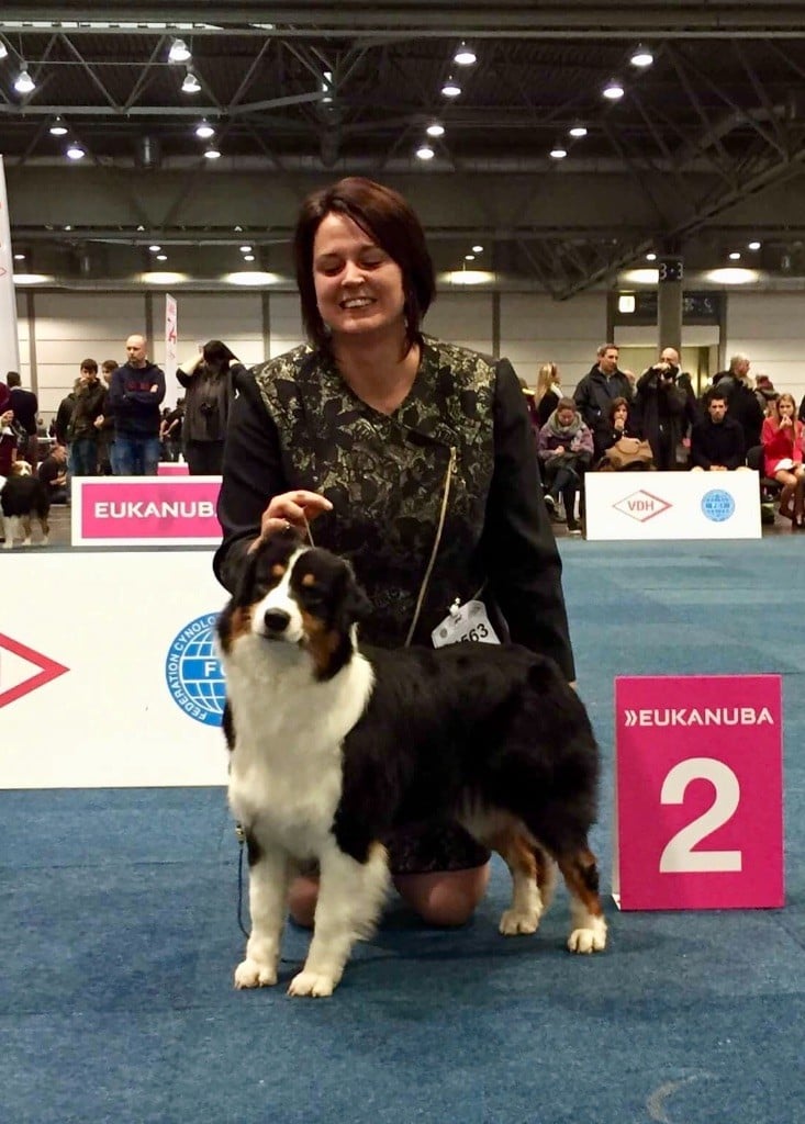 Du Petit Mont D'éden - World Dog Show Leipzig 2017