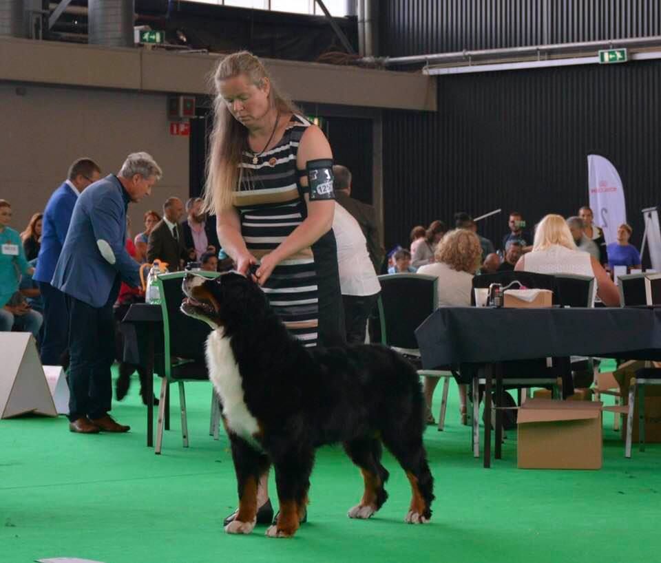 De La Ferme D'uzes - World Dog Show 2018 Amsterdam