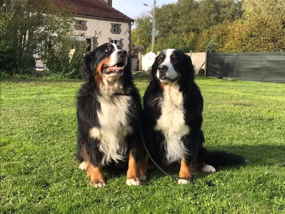 De La Ferme D'uzes -  9 ans pour les petits F