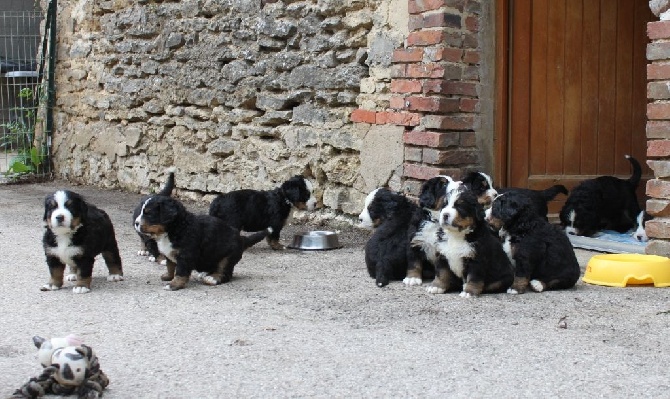 De La Ferme D'uzes - première sortie !