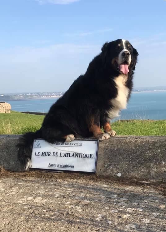 De La Ferme D'uzes - 11 ans pour ma Dam ! 