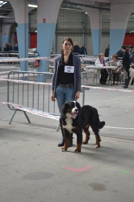 De La Ferme D'uzes - Expo de Niort