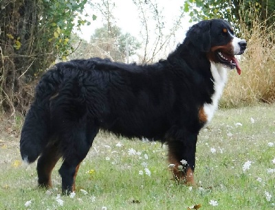 De La Ferme D'uzes - Black Pearl de Marais Champagne   !