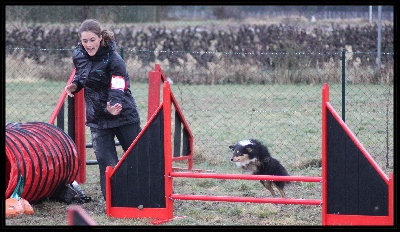 Jonquières, 2éme concours Agility Féli