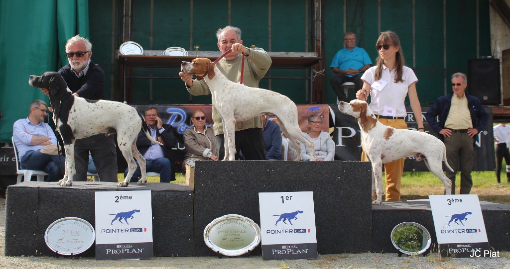 de l'espinauguet de saint ague - Le meilleur Pointer NE 2019