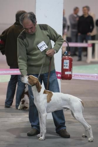 de l'espinauguet de saint ague - FRAY de l'Espinauguet de St Ague