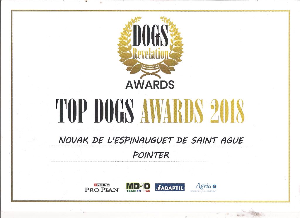 de l'espinauguet de saint ague - Novak top Dog AWARDS 2018