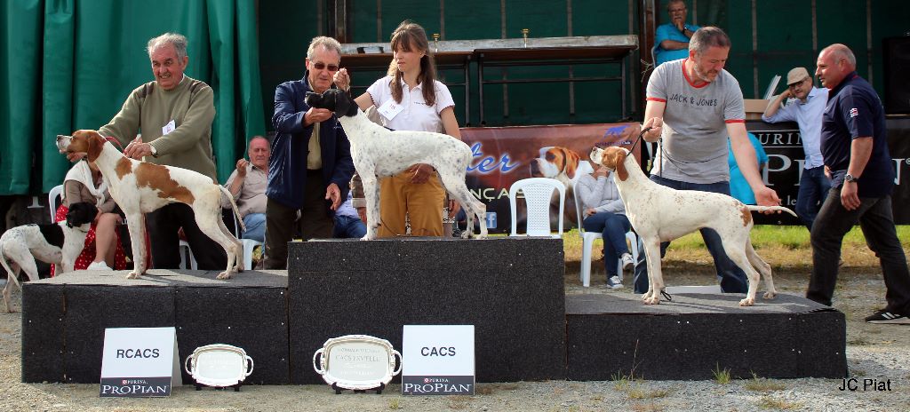 de l'espinauguet de saint ague - La 2éme POINTER NE 2019