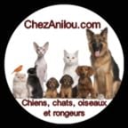 Accessoires pour animaux