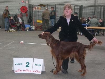 de la Forêt de Massonge - résultat Junior Handling Chalons en champagne