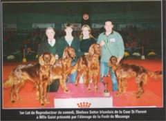 de la Forêt de Massonge - Résultats Expo Metz