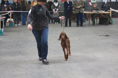 de la Forêt de Massonge - première expo et première place