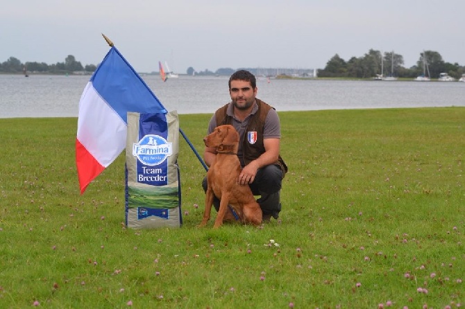 des Bois de la Fessille - Isis Vainqueur du Derby Européen 