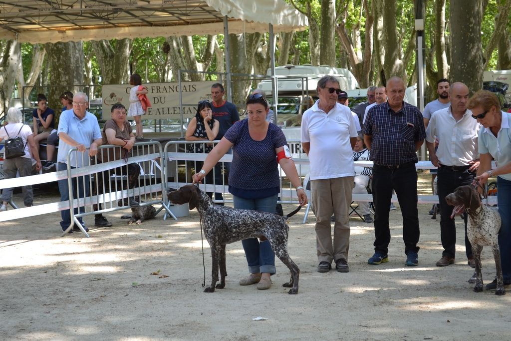 Du Rio Parana - Nationale d'Elevage 2018 