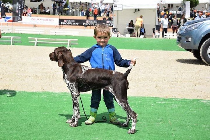 Du Rio Parana - Résultats du Game Fair