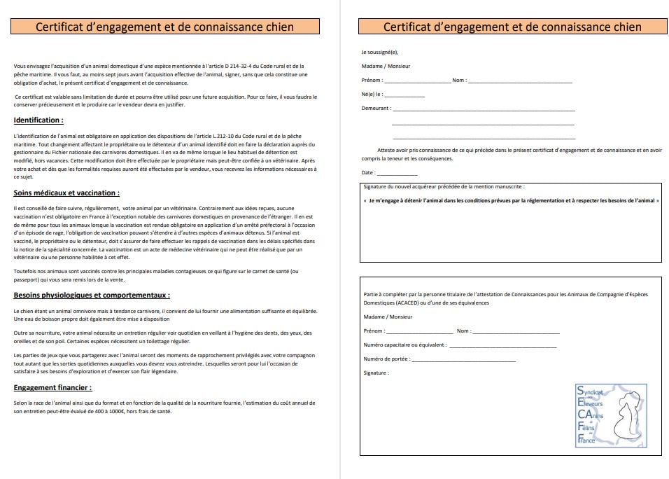 des Petits Mots Doux - Le certificat d'engagement et de connaissance