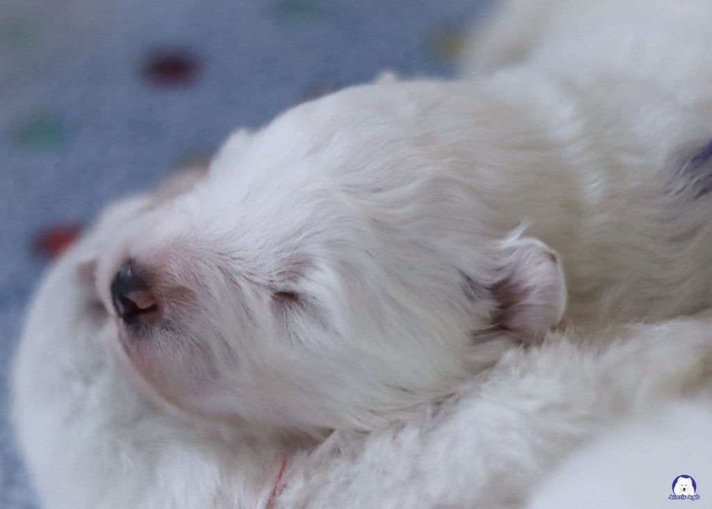 Nouveaux bébés nés fin Novembre!!