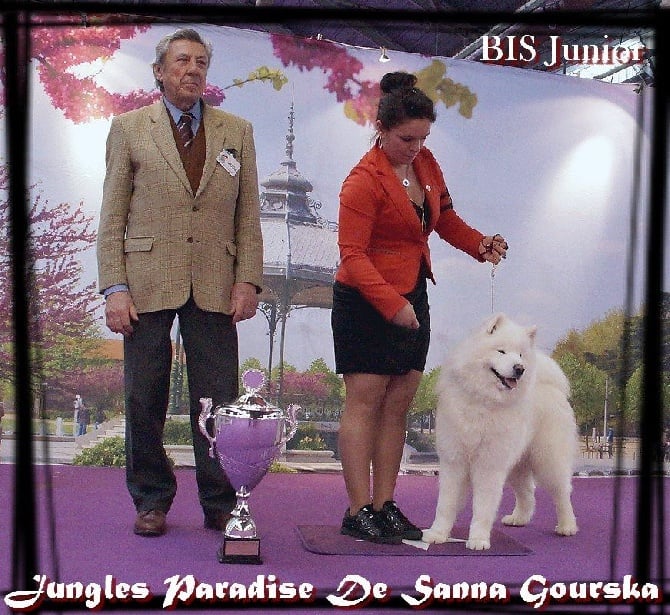 Valence National Dog Show 2016