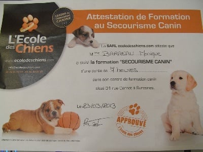 Formation en Secourisme -Canin