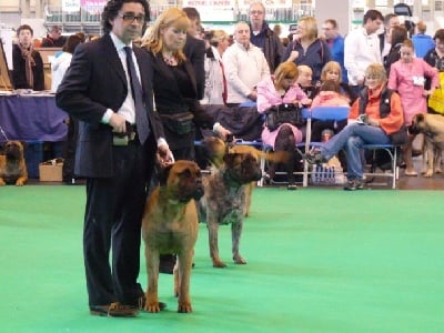 wonderbull's - Crufts 2011 - Wonderbull en Angleterre