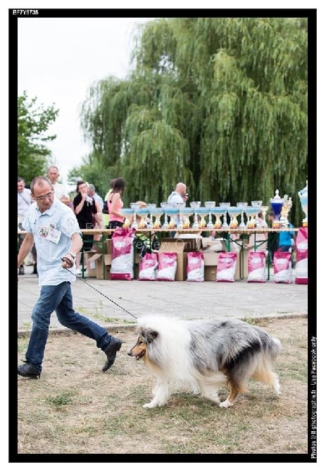 Des Plaines D'earny - Exposition de Chalette sur Loing