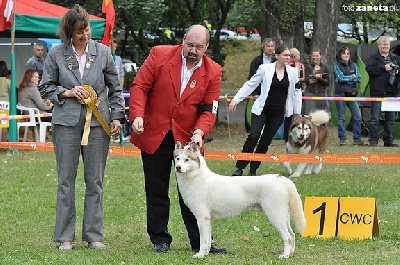 of aqua ice - CACS  Special de race  Lodz (Pologne )18/09/11