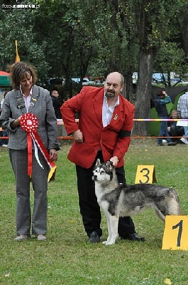 of aqua ice - CACS Special de race Lodz (Pologne )18/09/11