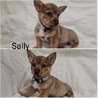 Sally