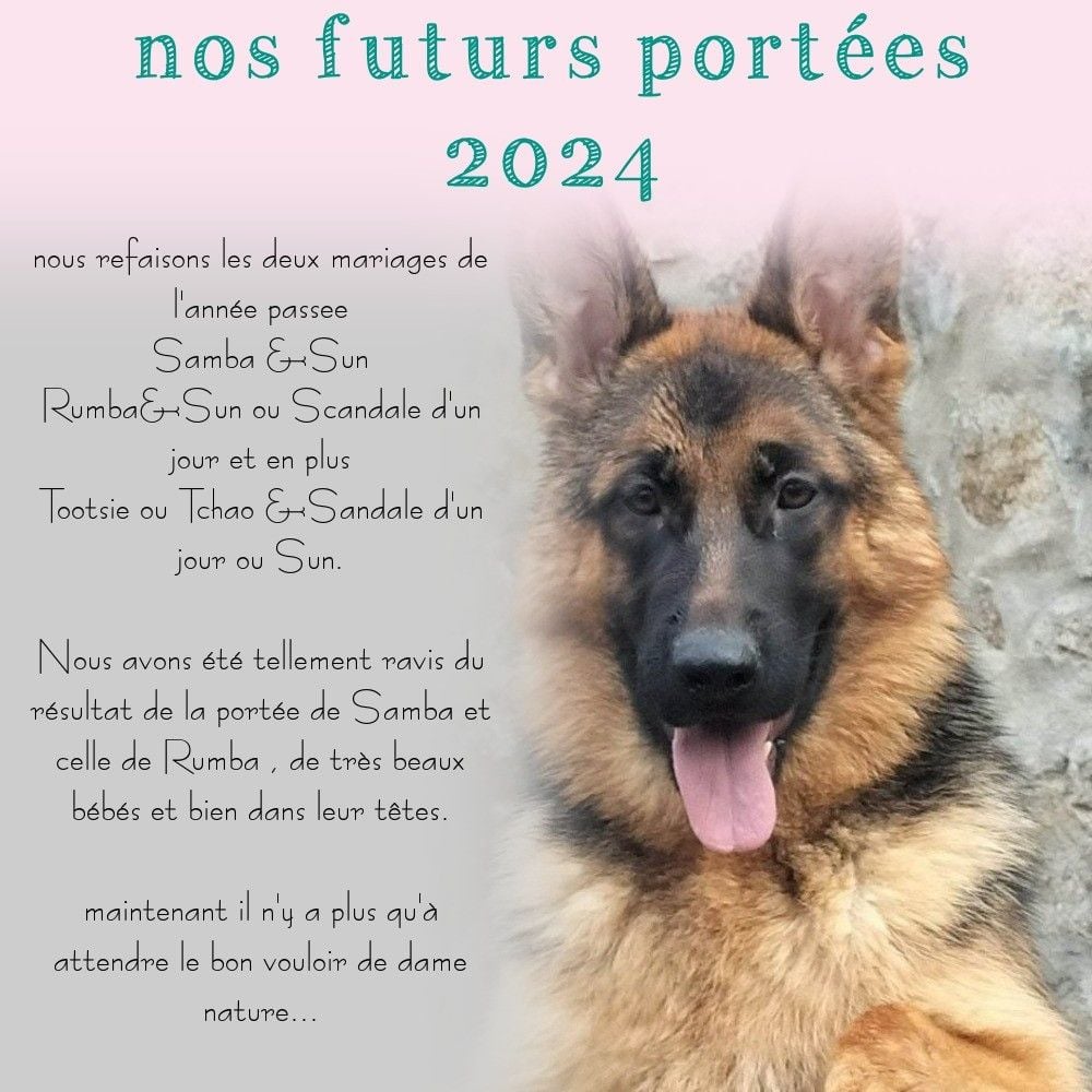 Du Domaine Du Gitan - Prévisions portées 2024