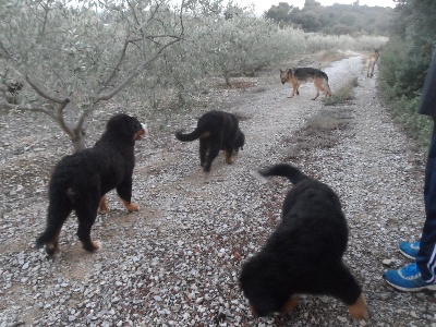 De La Coustille Ouest - Ballade en Guarrigues!