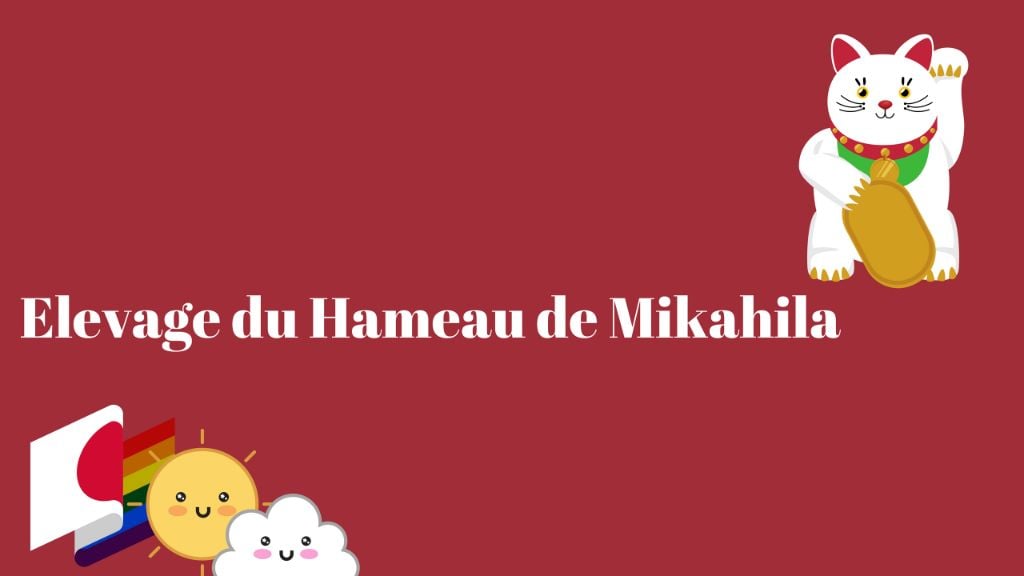 Du Hameau De Mikahila - découvrez notre chaîne Youtube!