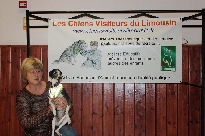 Des Petits Princes D'amour - 2eme Chien visiteur