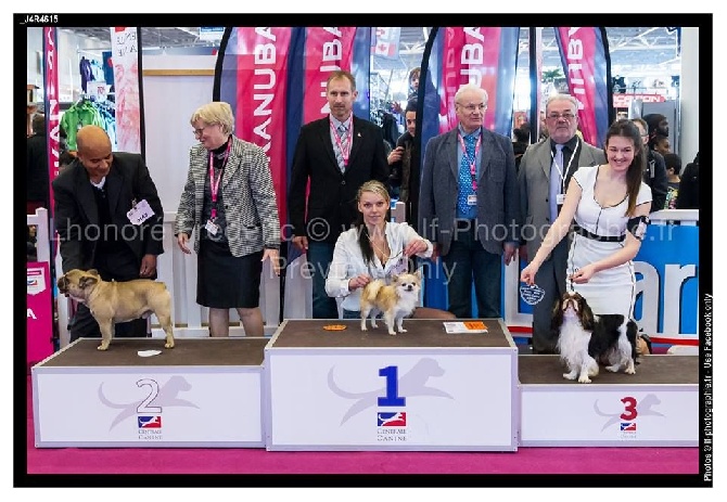 Du Haut De Montfort - Concours Général Agricole 2015