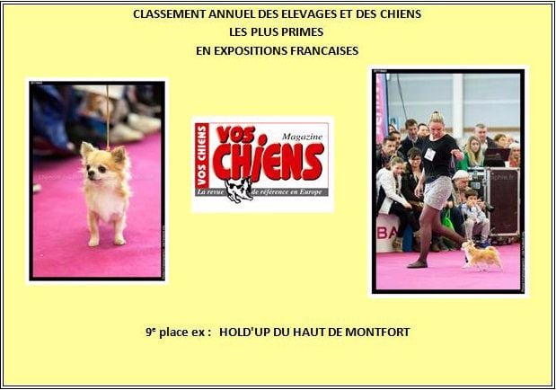 Vos Chiens Magazine 