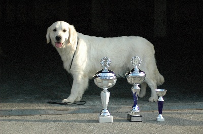 Des Glycines Enchantées - Guidelle exposition canine internationale Angers 23-3-12