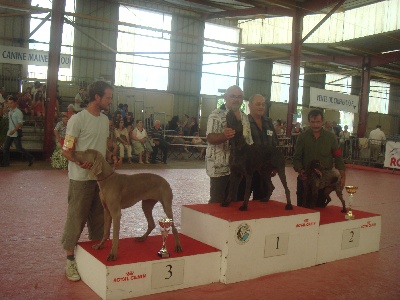 De La Vallee De L'aber Wrach - expo de chateau gontier