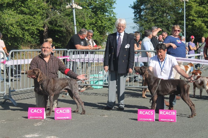 De La Vallee De L'aber Wrach - ANGERS 2014,  championnat de france