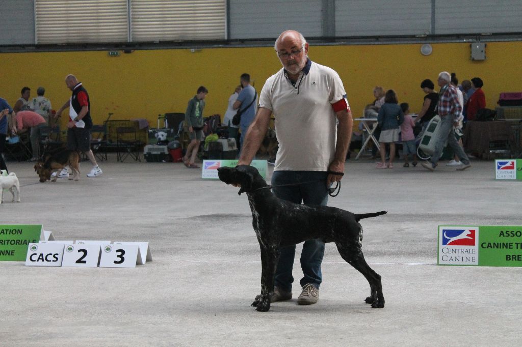 De La Vallee De L'aber Wrach - EXPO PONTIVY le 15/07/2018