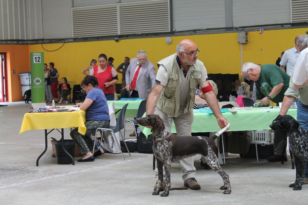 De La Vallee De L'aber Wrach - Expo de pontivy 2017