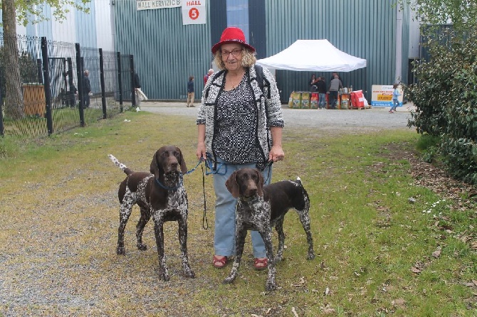 De La Vallee De L'aber Wrach - Expo de Pontivy 2016